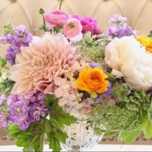 Meet your Posher, Britnie